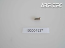 MSPF26060NIGP  Set Screw 2.6x6