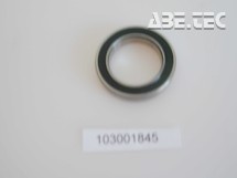 BL65-0380 Bearing